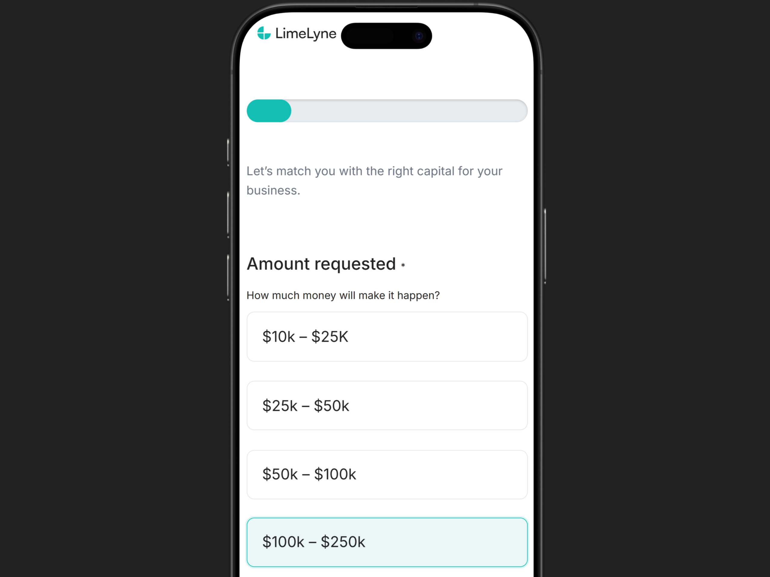 LimeLyne mobile business loan application screen